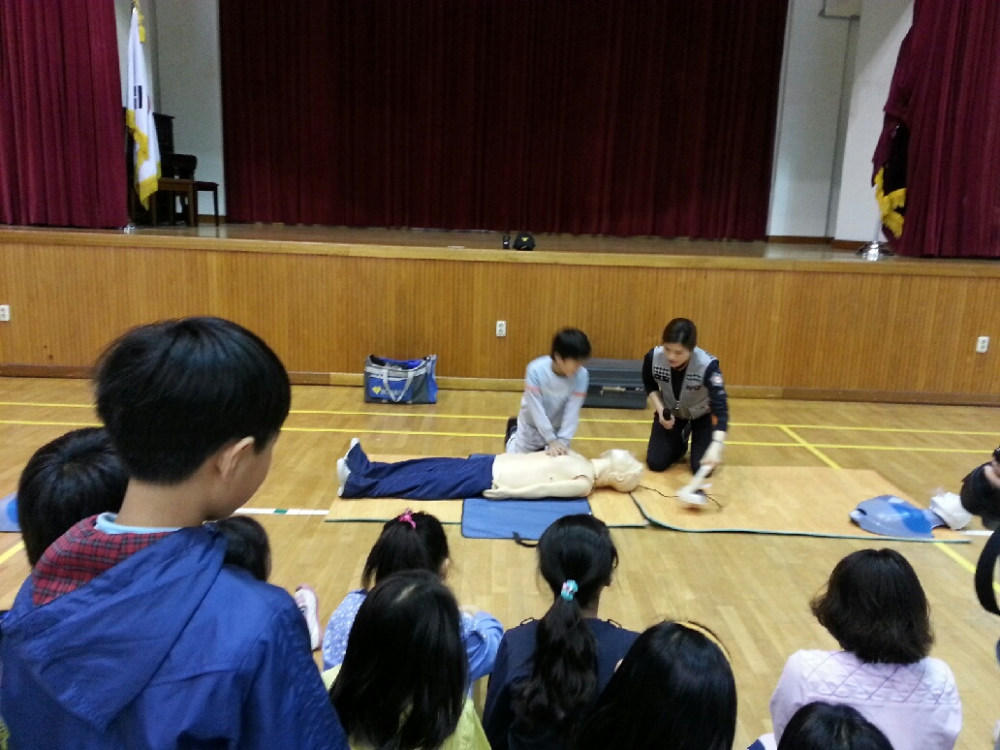 금산초_CPR_2.jpg