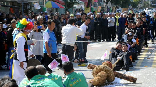 홍천_무궁화_축제.jpg