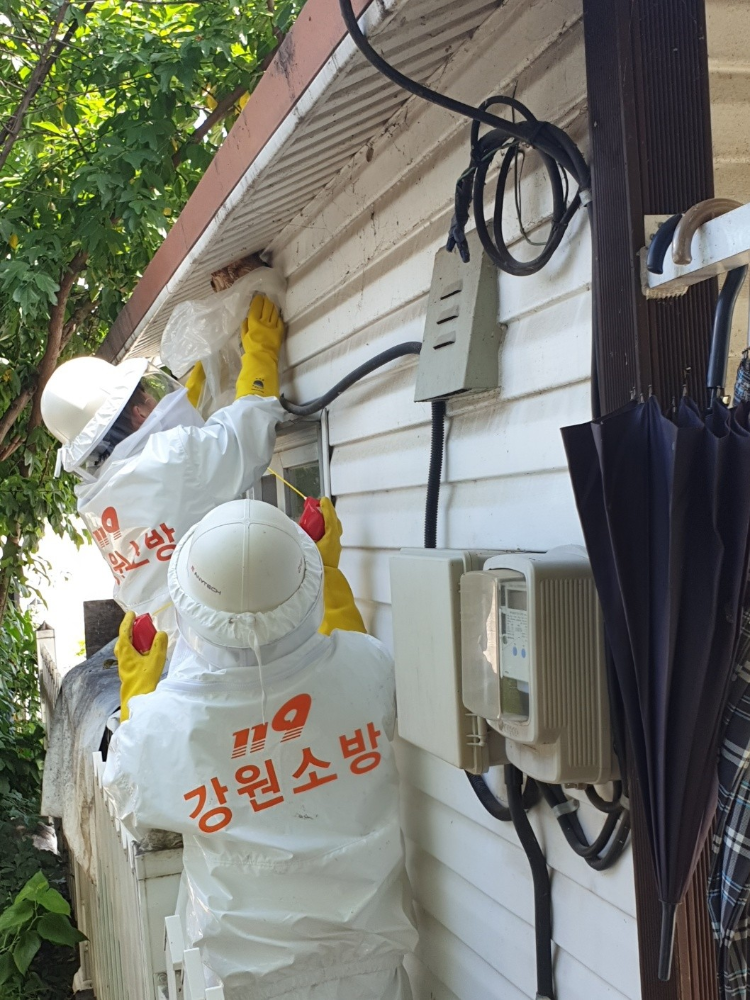 벌집 제거 모습.jpeg