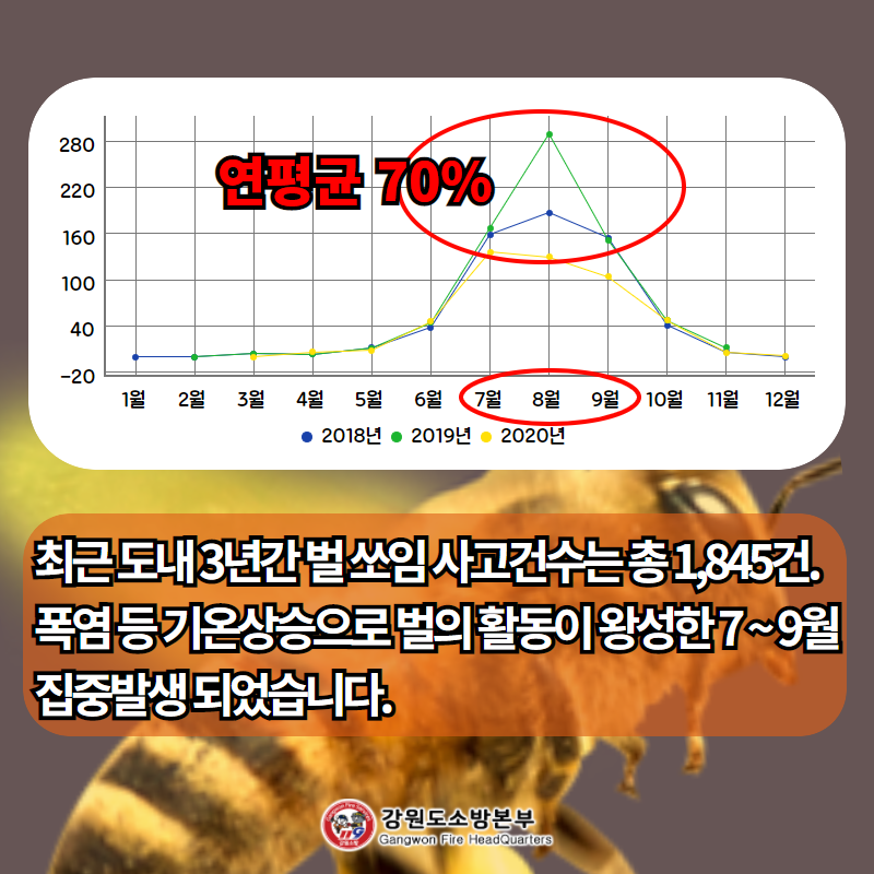 벌 쏘임 사고현황.png