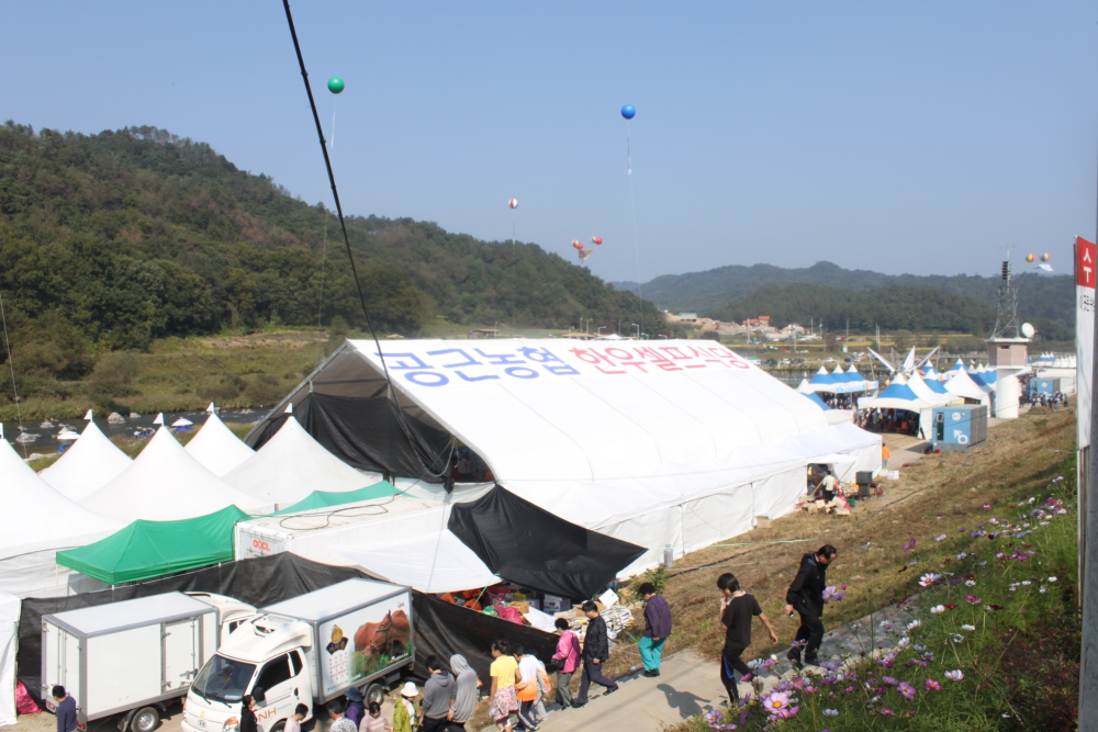 횡성한우축제2.JPG