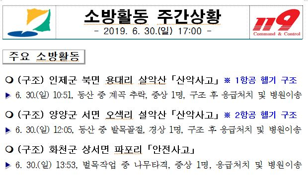 소방활동_주간상황(6.30.일)_17시.JPG