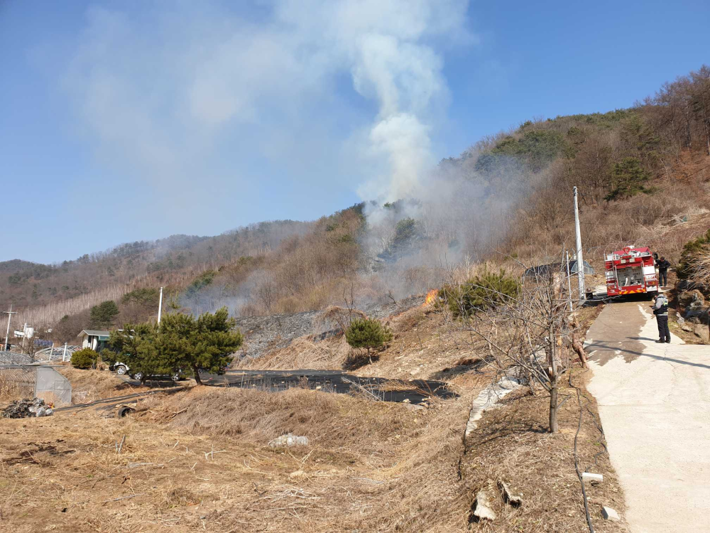 화천 산불.jpg