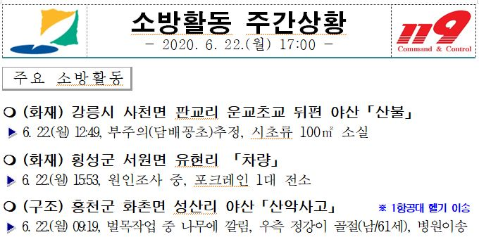 소방활동 주간상황(6.22.월).JPG