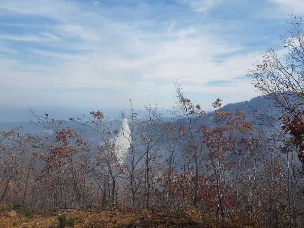 고성군 현내면 산불 2.JPG