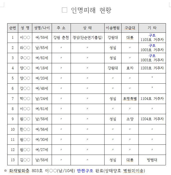 인명피해 현황(13명).JPG