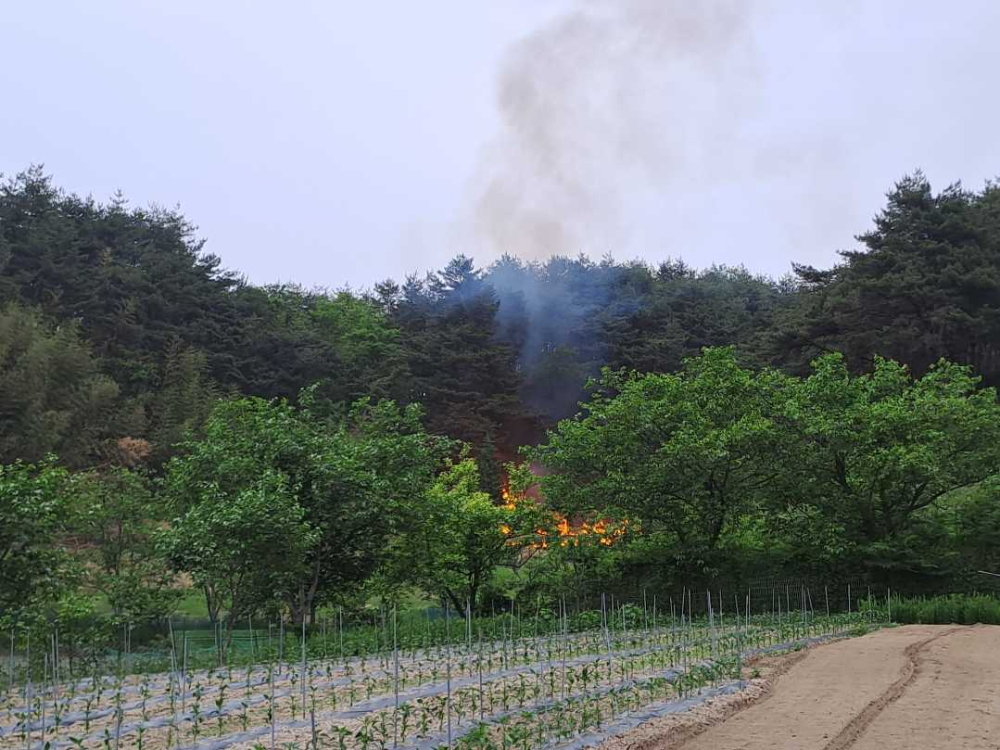 강릉시 유천동 임야화재 1.jpg