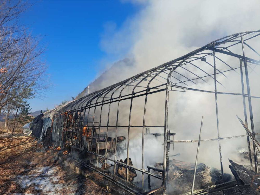 0906 홍천 화재1.jpg