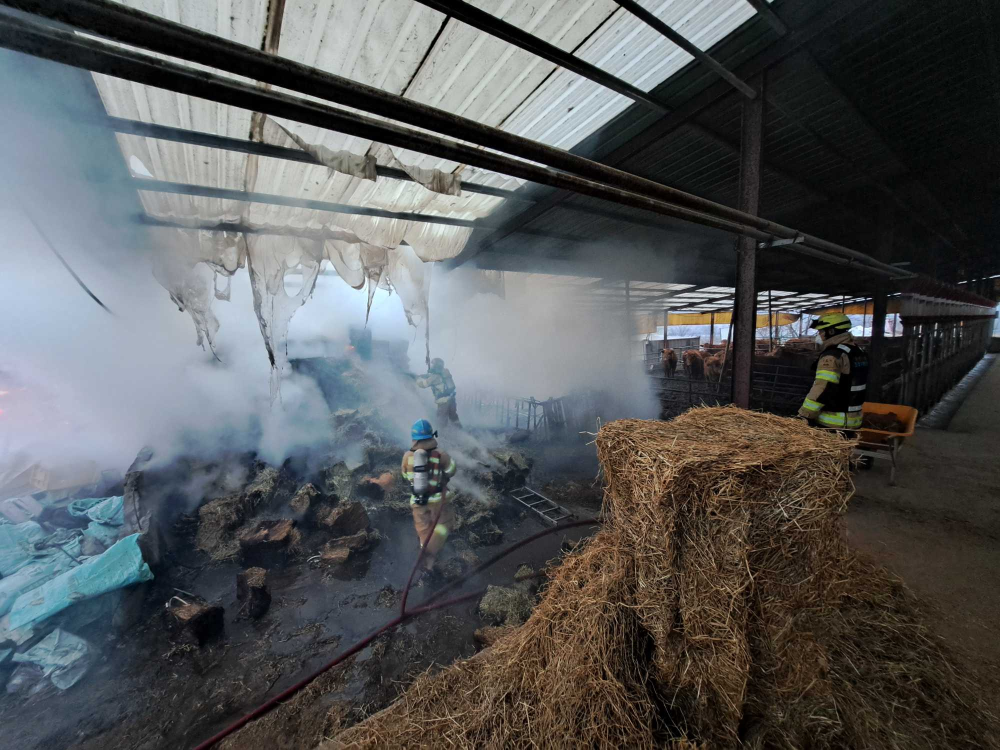 0709 홍천 축사 내 볏짚화재 2.jpg