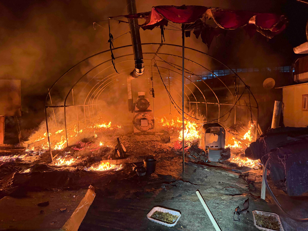 2320 춘천 남산면 백양리 비닐하우스화재-1.jpg