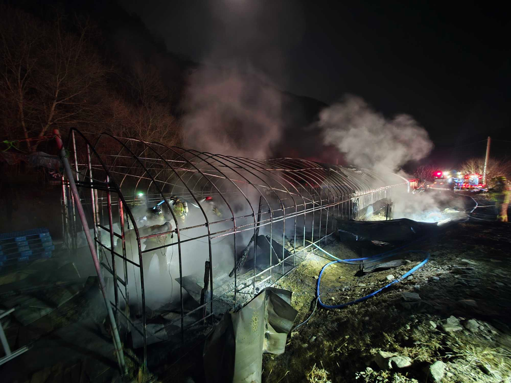 2243 횡성비닐하우스1.jpg