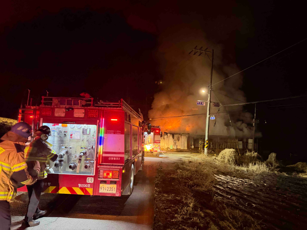 0359 정선 주택화재2.jpg