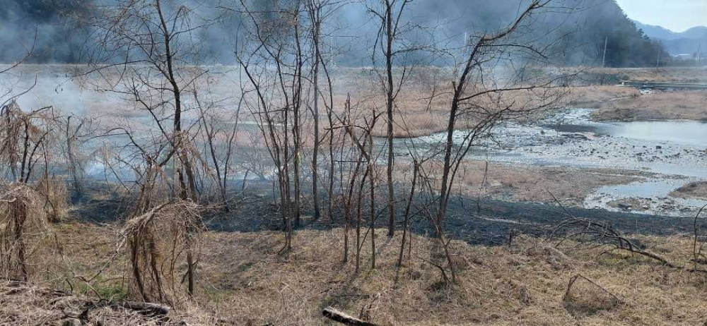 1336 횡성 공근면 학담리 시초류화재.jpg