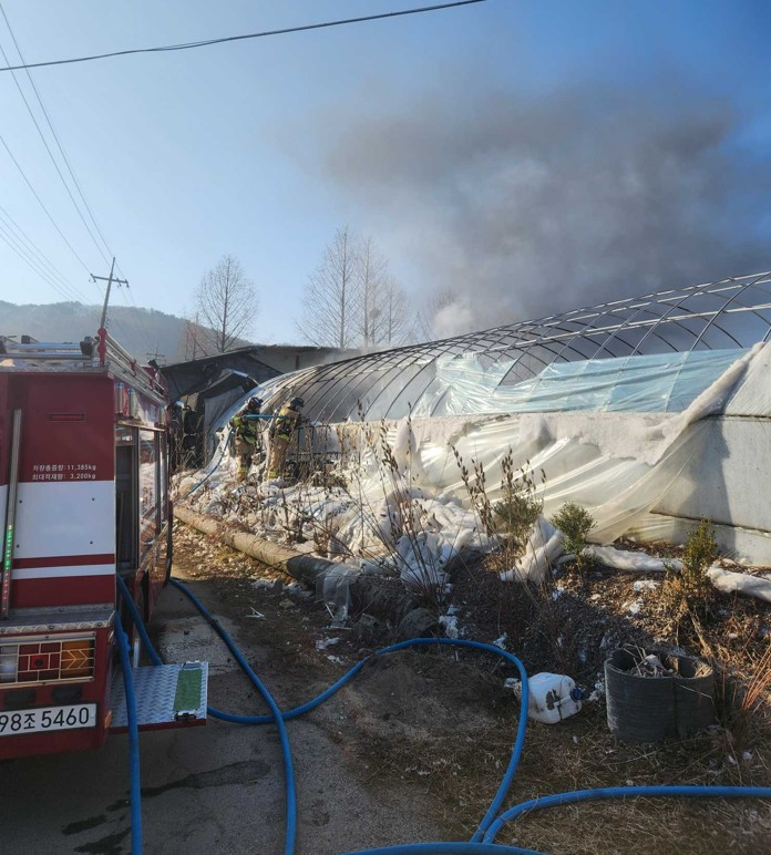 0802 철원 갈말읍 지경리 비닐하우스화재.jpg