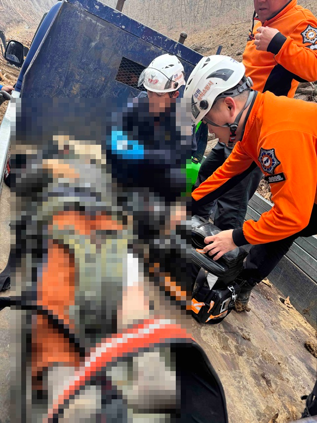 1318 태백 창죽동 작업자 부상.jpg