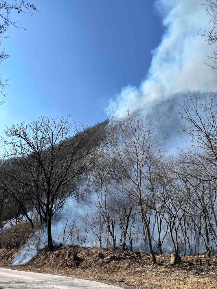 1510 양구 산림화재2.jpg