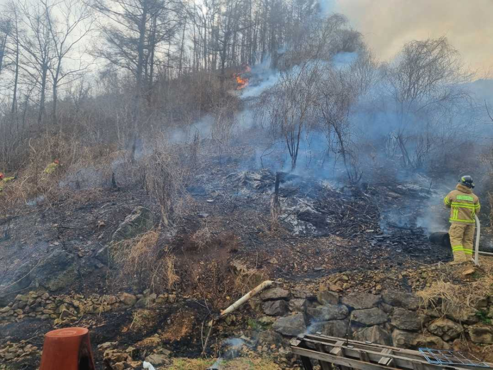 1519 양구 국토정중앙면 산림화재.jpg