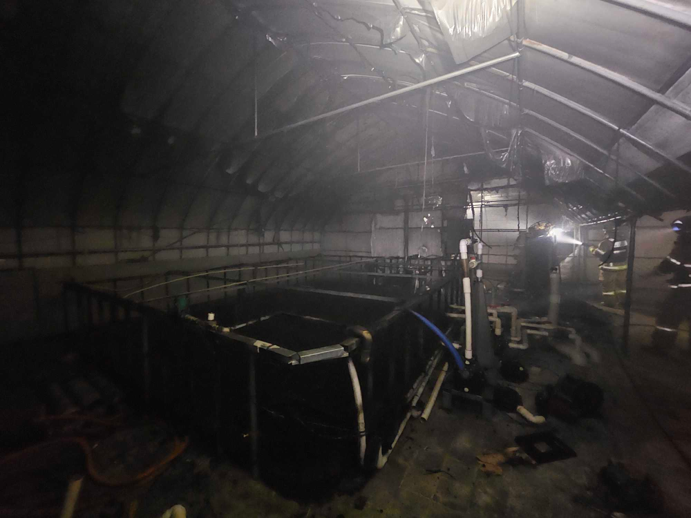 2220 철원 동송읍 양어장 비닐하우스 화재.jpg