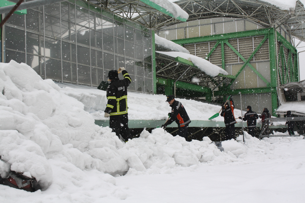 삼척중앙시장_제설작업2.18_(1).jpg
