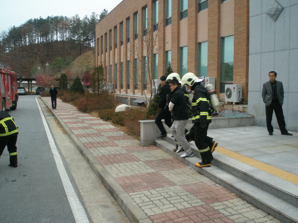 PB200171.JPG