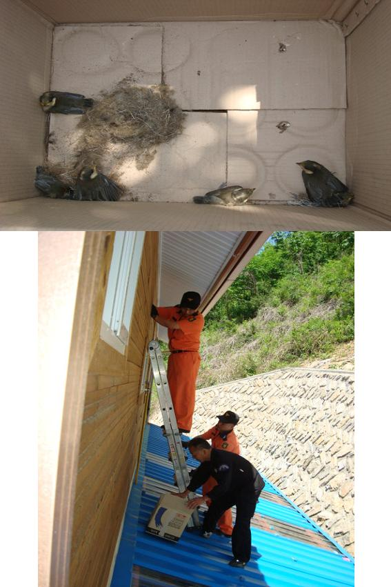 새구출_작전.jpg