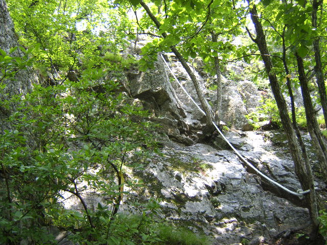 SA500016.JPG