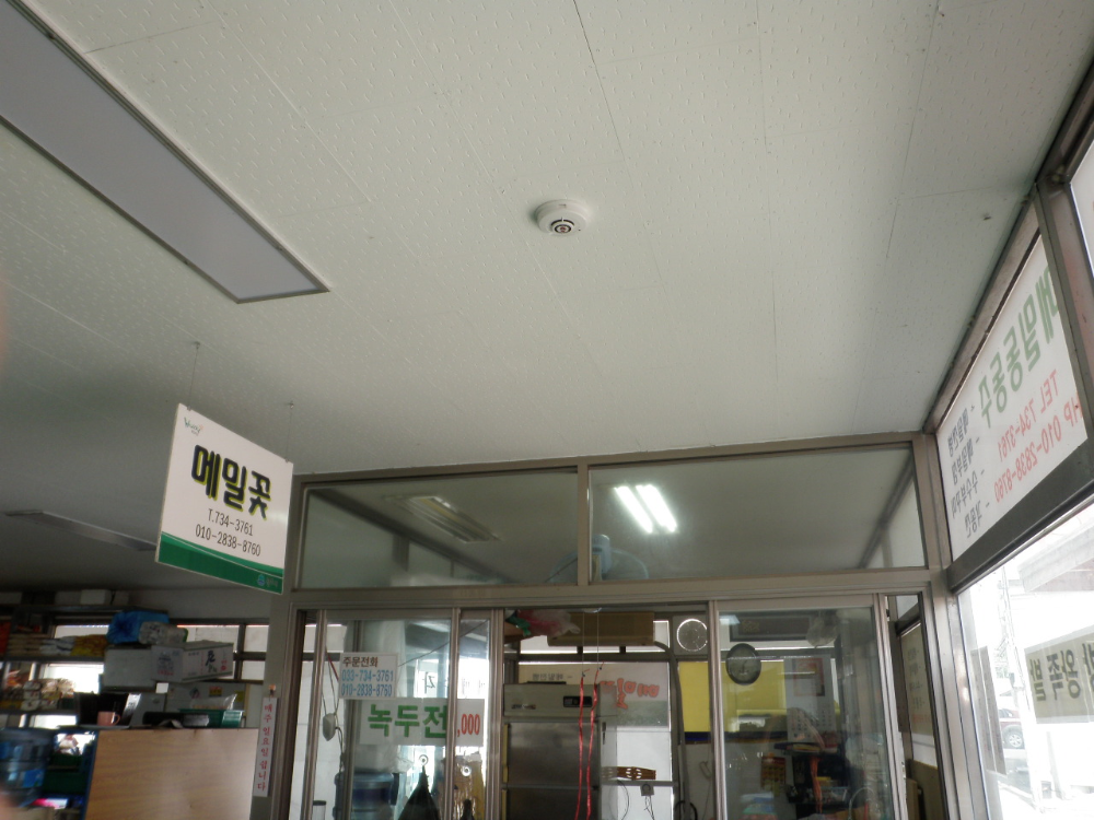 P9030068.JPG