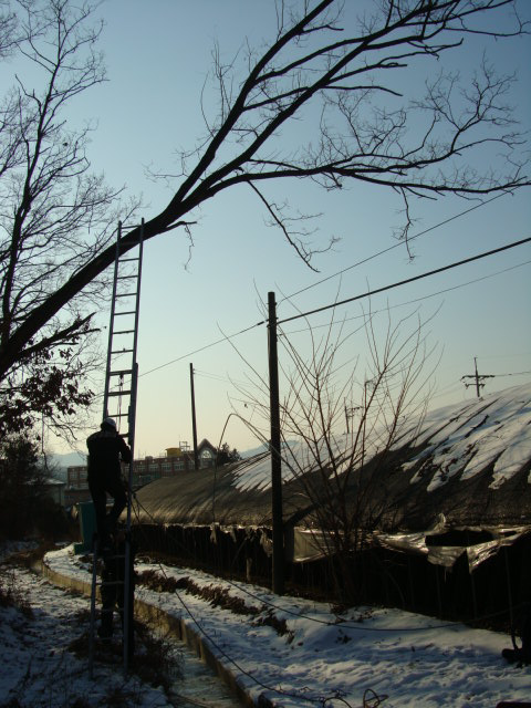 DSC02719.JPG