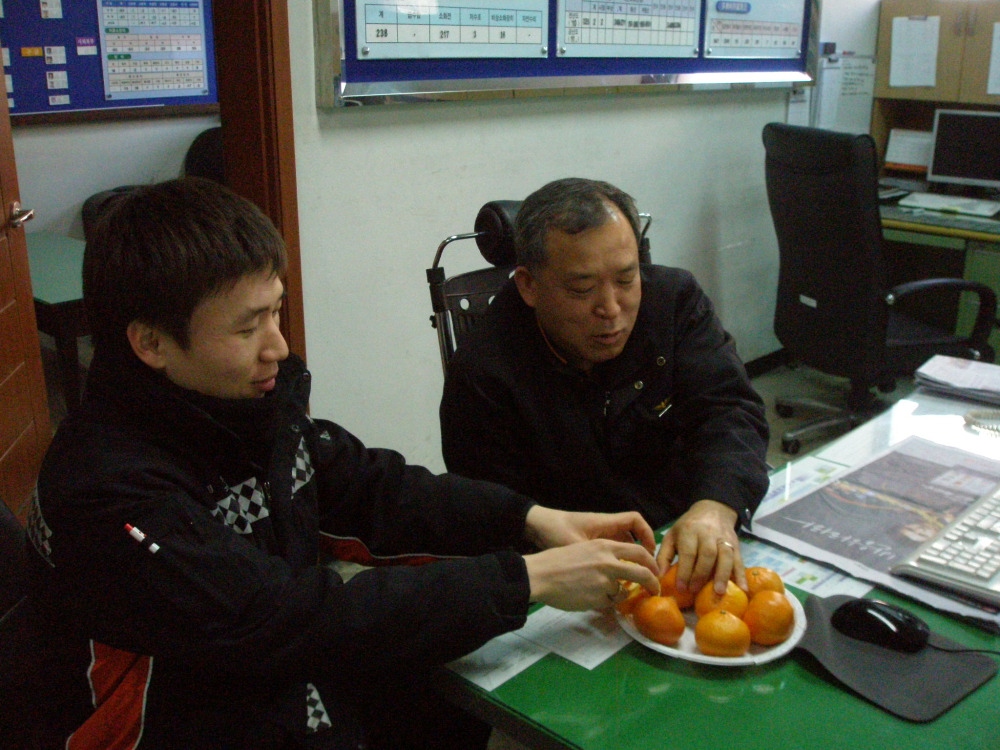 P1260203.JPG