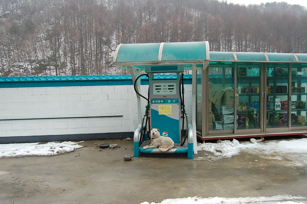 DSC_0914.JPG