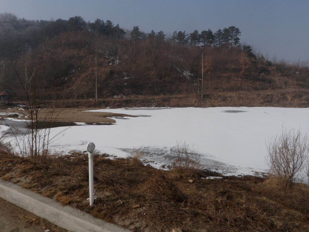 P2180012.JPG