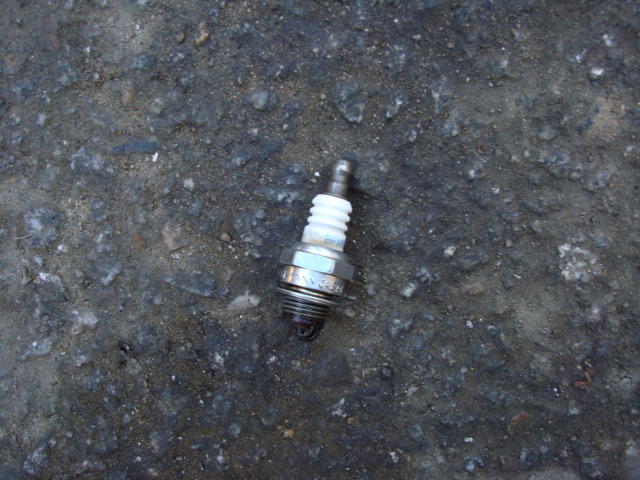 DSC03310.JPG
