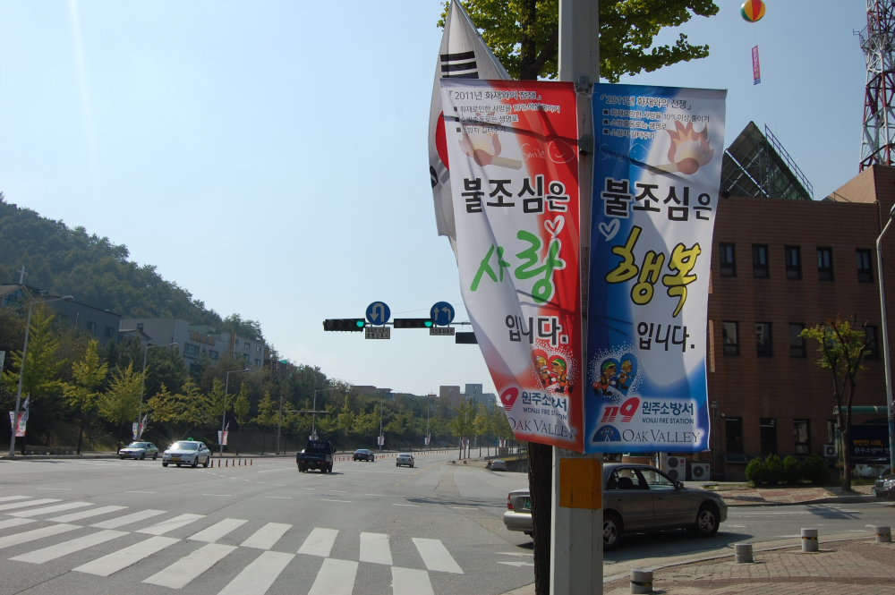 새_이미지.JPG