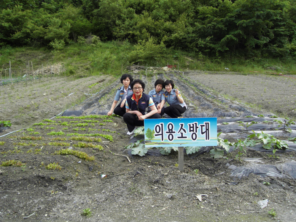SDC10018.JPG