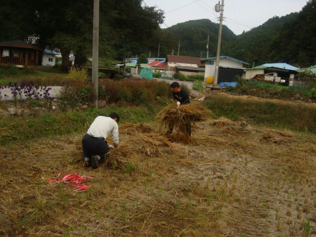 첫번째.JPG
