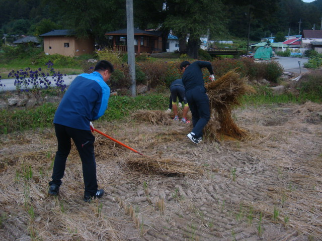 DSC03954.JPG