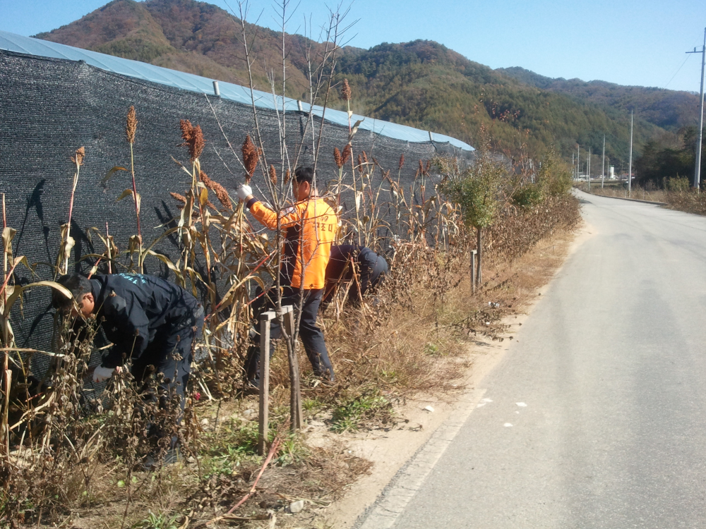 2011-10-19_13.38.06.jpg