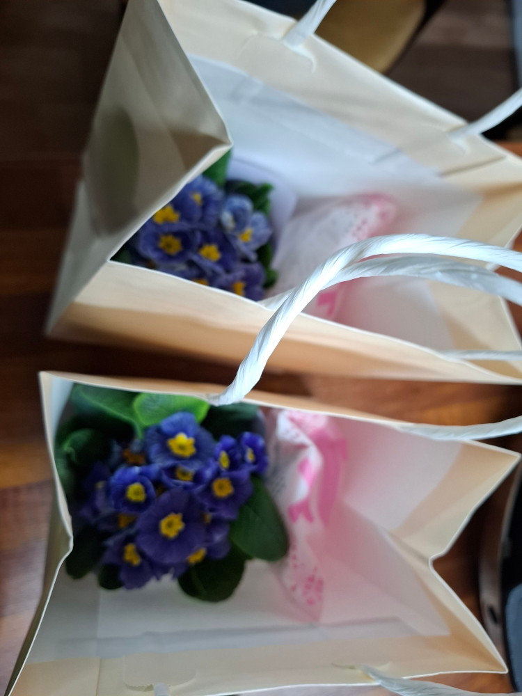 사본 -20260314_173525.jpg