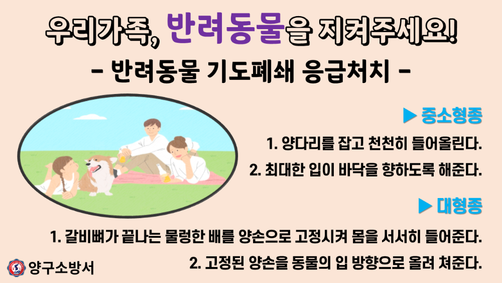 반려동물 응급처치.png