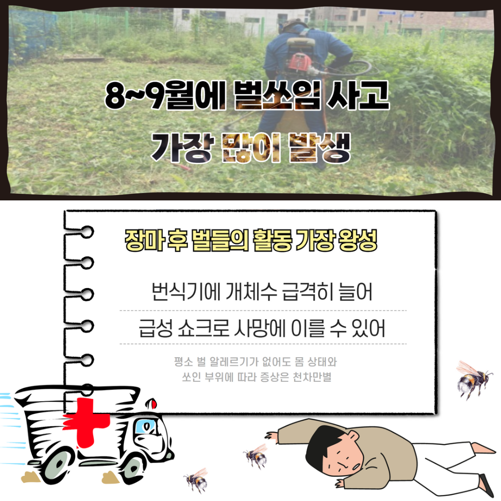 벌쏘임 2.png