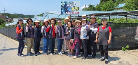 동해소방서 여성의소대, 포도농가 일손돕기 자원봉사 ‘구슬땀