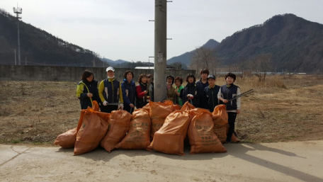 국토대청결 운동