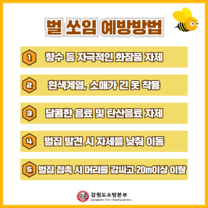 벌쏘임 주의 카드뉴스