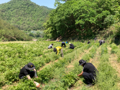 영월소방서, 봄철 맞이 농촌 일손 돕기 릴레이 참여