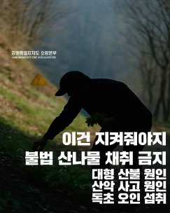 [포토뉴스]불법 산나물 채취 금지