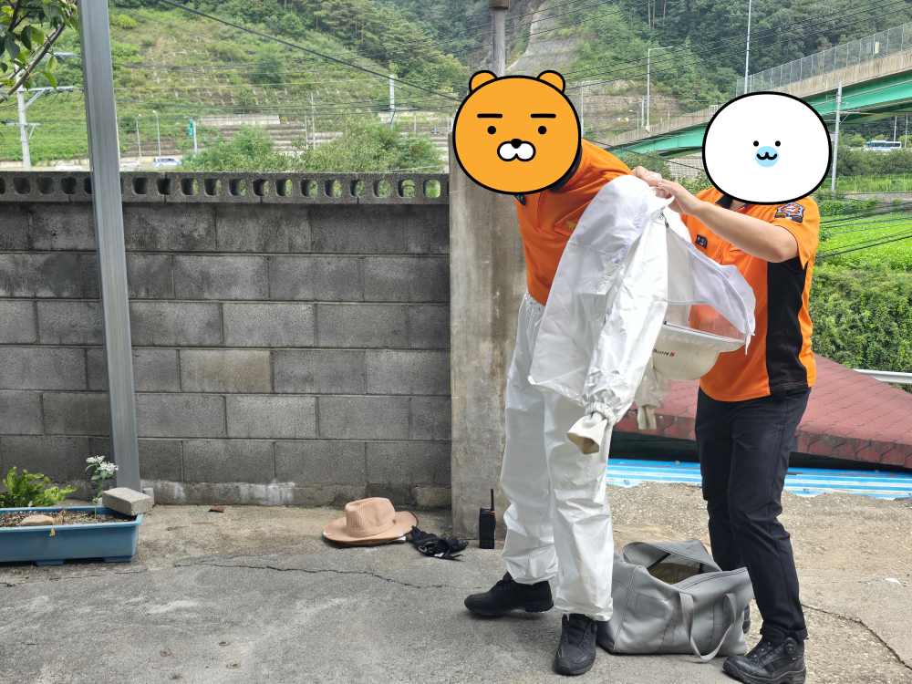 도계소방서말벌집제거2.jpg